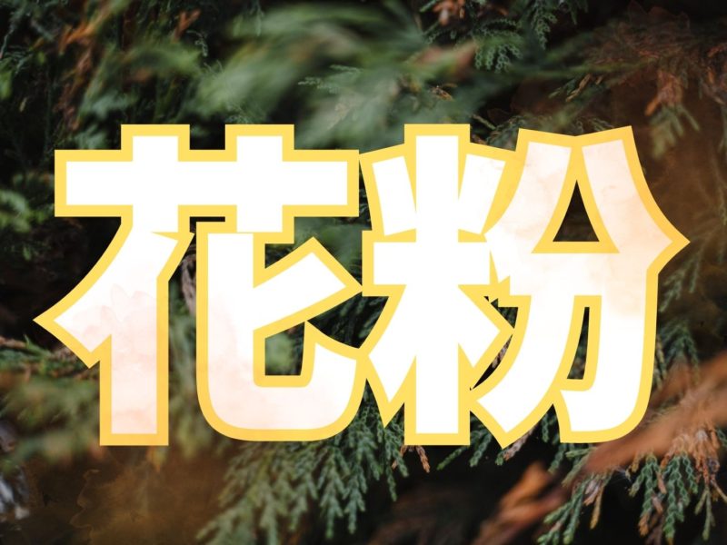 花粉症の方には辛い時期になりました